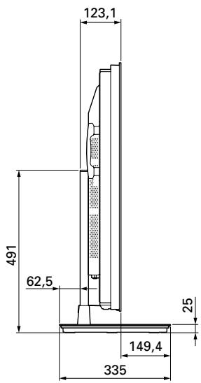 PIONEER PDK-TS23 - Afmetingen - 2