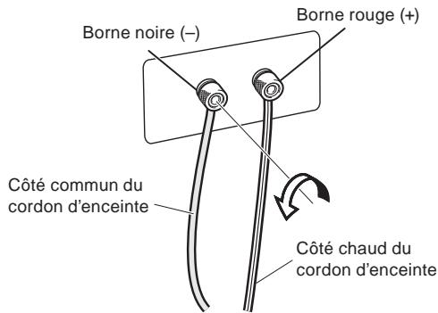 PIONEER S-31C-K - Branchez les câbles d'enceinte sur les bornes d'entrée à l'arrière de l'enceinte. en ce qui concerne les polarités des bornes, la rouge est positive (+) et la noire est négative (-). - 1