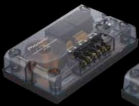 PIONEER TS-A2503I - TS-W01RSII - 2