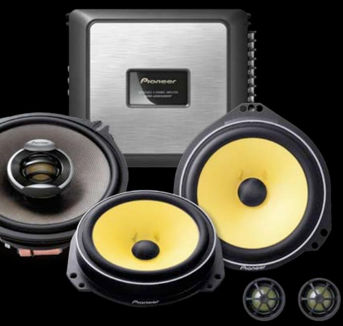 PIONEER TS-A2503I - LA PASSION POUR UN SON PUR - 1