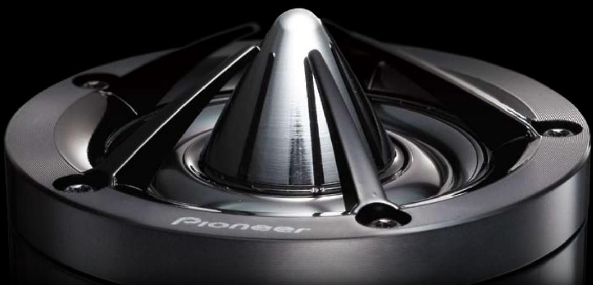 PIONEER TS-S101PRS - PERFORMANCE AUDIO - 1