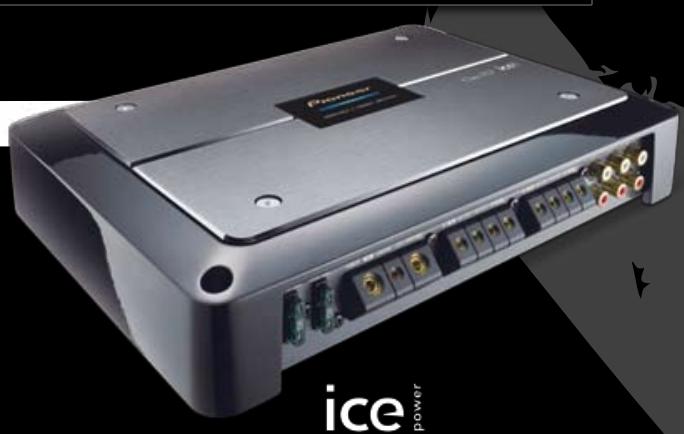 PIONEER TS-S101PRS - PRS-D420 - 2