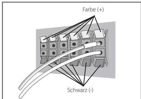 PIONEER BCS-313 - Für Mittel-Laatsprecher: - 2