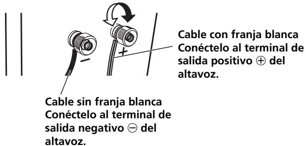 PIONEER S-A4SPT-VP - Conexión al amplificador - 2