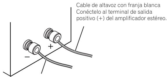 PIONEER S-CN301-LR - Conexiones - 1