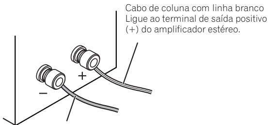 PIONEER S-CN301-LR - Ligações - 1