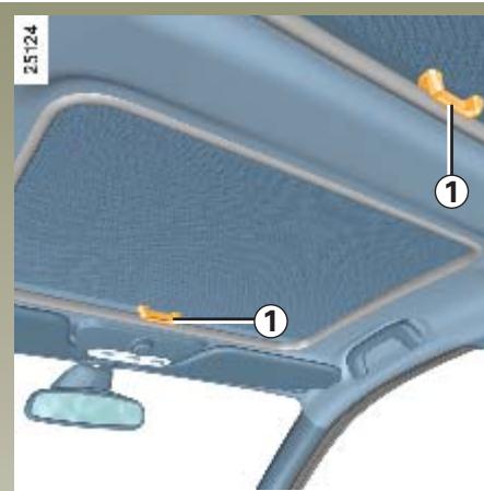 RENAULT CLIO 3 - TOIT OUVRANT À COMMANDE ÉLECTRIQUE - 1