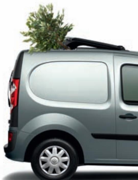 RENAULT KANGOO EXPRESS COMPACT - ZONE DE CHARGEMENT AVEC TAPIS DE PROTECTION ET CLOISON VITRée - 3