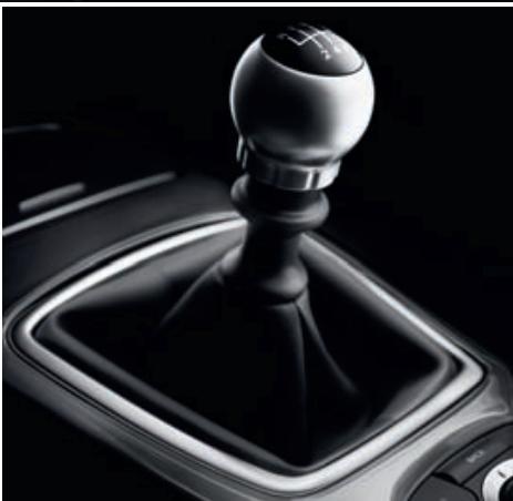 RENAULT LAGUNA CELSIUM - 5