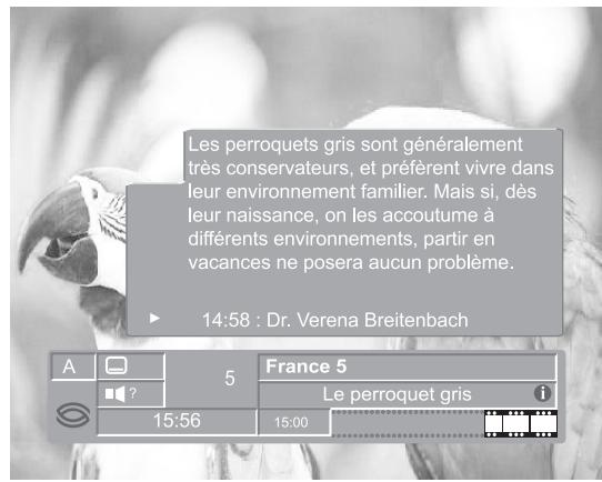 SAGEM AXIUM DLP 50 - Informations détaillées sur les programmes DTV - 2