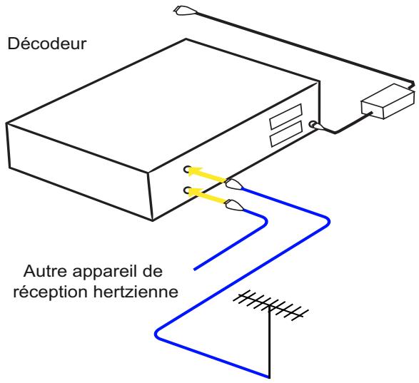 SAGEM ITAD91 HD TNTOP - Raccordements à l'antenne - 1