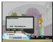 SAGEM ITD58NG FR - UTILISATION DU RÉCEPTEUR - 2
