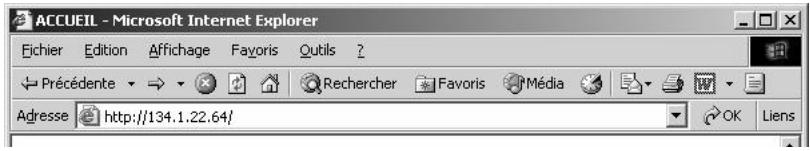 ACCUEIL - Microsoft Internet Explorer Eichier Edition Affichage Fayoris Outils ? Précédente Rechercher Favoris Média Adresse http://134.1.22.64/ OK Liens