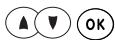 SAGEM WP 22-33 SMS - Inscr auto apparait. - 3