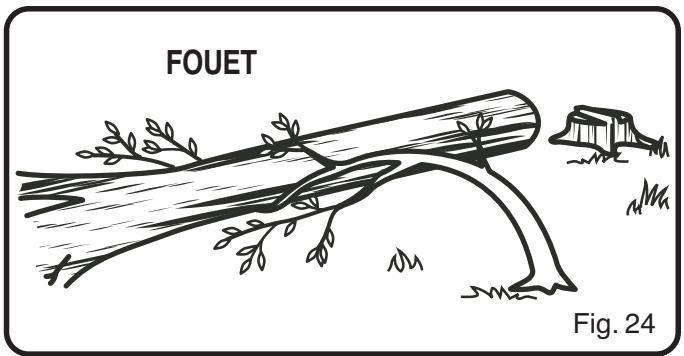 FOUET Fig. 24