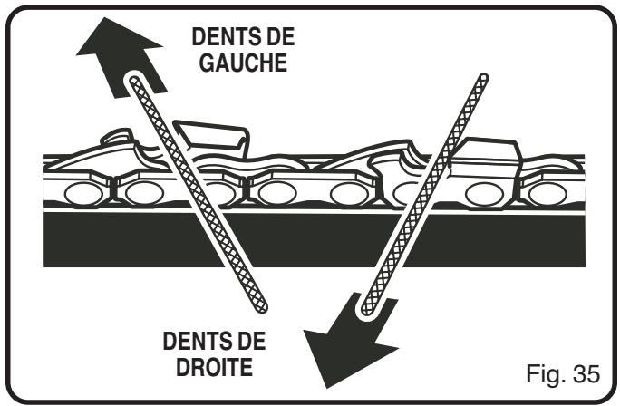 DENTS DE GAUCHE DENTS DE DROITE Fig. 35