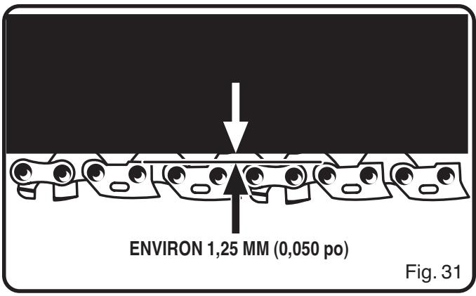 ENVIRON 1,25 MM (0,050 po) Fig. 31