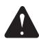 RYOBI RBC30SES - WARNING - 1