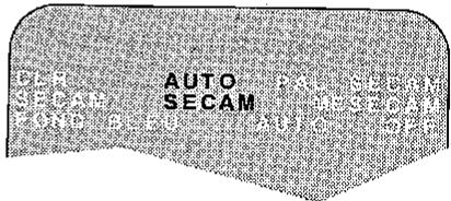 AUTO SECAM
