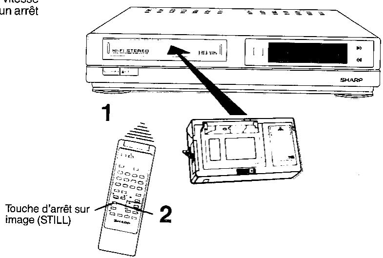 SHARP VL-C8000S - Lecture des enregistements effectués avec l'obturator à grande vitesse - 1