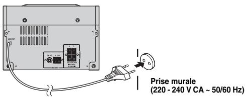 Prise murale (220 - 240 V CA ~ 50/60 Hz)