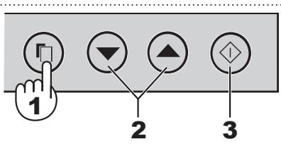 SHARP SJ-RM320T - YBAGA - 2