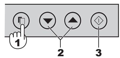SHARP SJ-RM320T - HINWEISE - 1