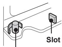 SHARP SJ-RM320T - Structuur - 1