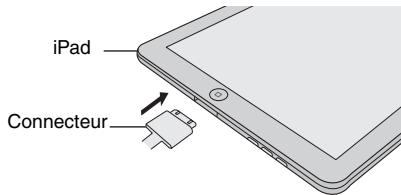 iPad Connecteur