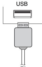 SHARP XL-HF201PHBK - - iPod, iPhone and iPad connection (USB only) - 3