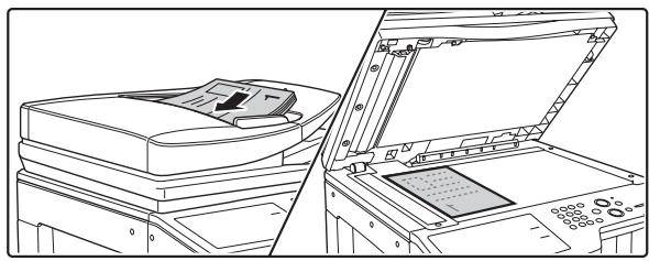 SHARP MX-3114N - [Sur la machine] - 1