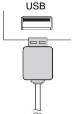 SHARP XL-HF301PH - - iPod, iPhone and iPad connection (USB only) - 3