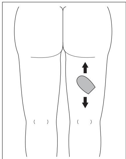 SILVERCREST SHS 220 A1 - REMARQUE - 3