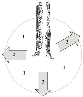 HUSQVARNA 350 - Émondage des branches basses et voie de retraite - 2