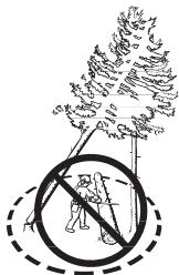 HUSQVARNA 350 - Récupération d'un arbre accroché - 2