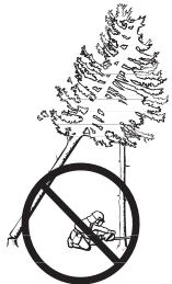 HUSQVARNA 350 - Récupération d'un arbre accroché - 1