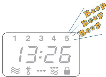 DELONGHI MW 505 - - Cuisson avec la fonction pizza (seulement sur certains modèles) - 9