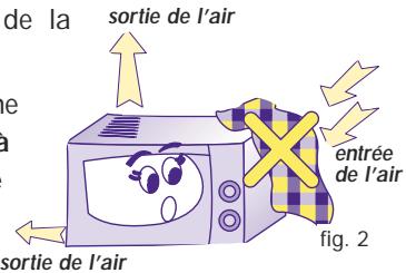 DELONGHI MW 530 - BRANCHEMENT ELECTRIQUE - 2