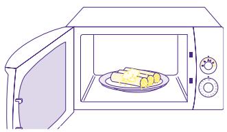 DELONGHI MW 530 - MISE EN MARCHEDUFOUR - 1