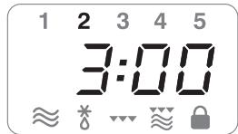 DELONGHI MW505 - - CUISSON AVEC LA FONCTION PIZZA (SEULEMENT SUR CERTAINS MODELES) - 6