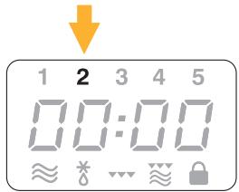 DELONGHI MW505 - - CUISSON AVEC LA FONCTION PIZZA (SEULEMENT SUR CERTAINS MODELES) - 2