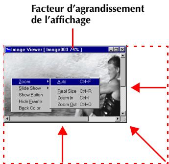 JVC DIGITAL PHOTO NAVIGATOR-IMAGE MIXER WITH VCD - Autres fonctions d'agrandissement/de réduction - 1