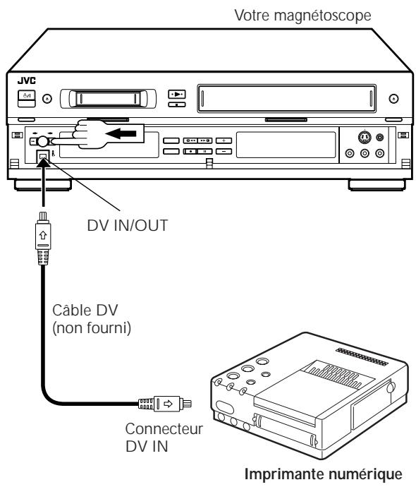 JVC HR-DVS1EU - Raccordement à une imprimante - 1