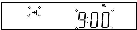 → 9:00 VN