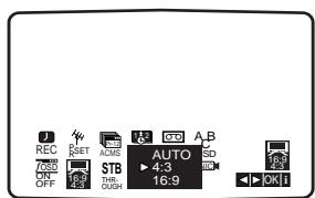 JVC HR-XV2EF - Compatibilité du grand écran 16:9 - 2