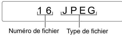 JVC NX-F7 - Fichier JPEG - 1
