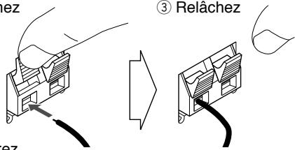 ez ③ Relâchez ez