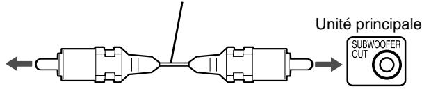 JVC EX-A1 - Raccordement du caisson de basses - 3