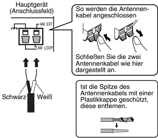 JVC EX-A1 - Anschluss der AM-Dreharmantenne (im Lieferumfang) - 2