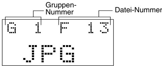 JVC EX-P1 - Anzeige während der Wiedergabe - 5